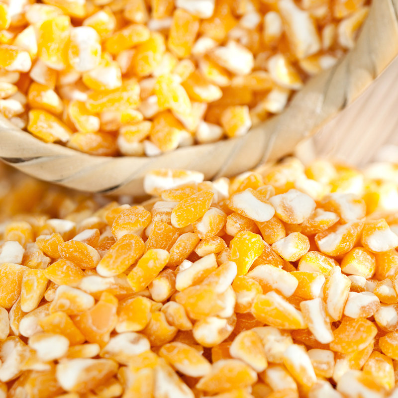 现磨玉米渣子粗糁东北北大碴子大碴粥大转基因玉米