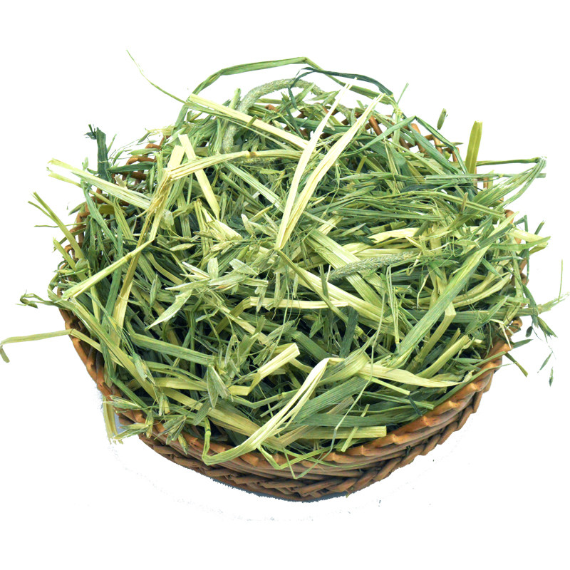 包邮2019微干燕麦草500g兔子荷兰猪豚鼠龙猫干草代提摩西牧草