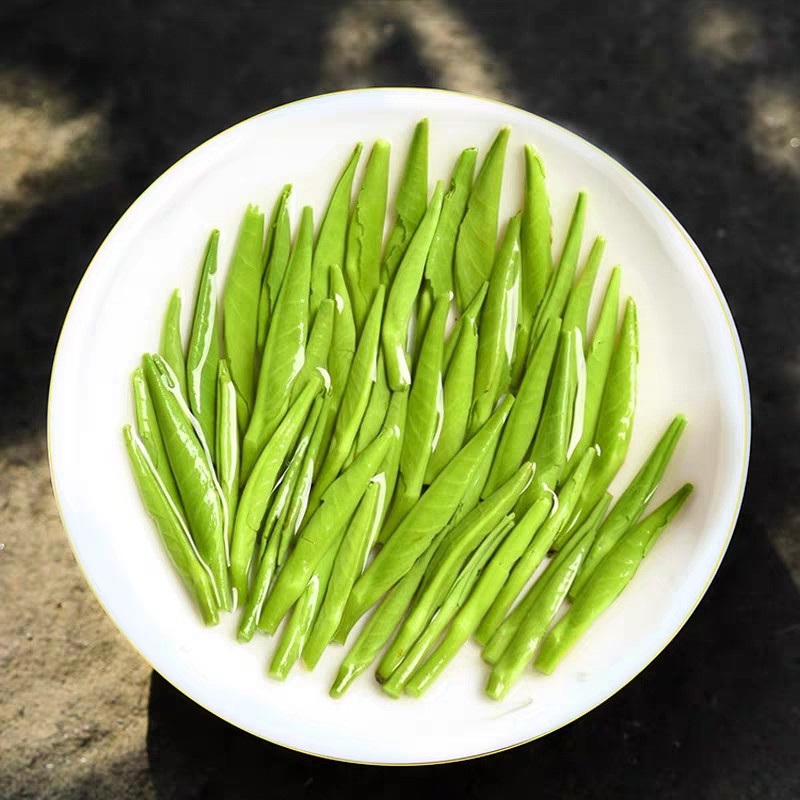 翠竹铁罐礼盒散装绿茶高山峨眉四川论道青叶峨眉山茶