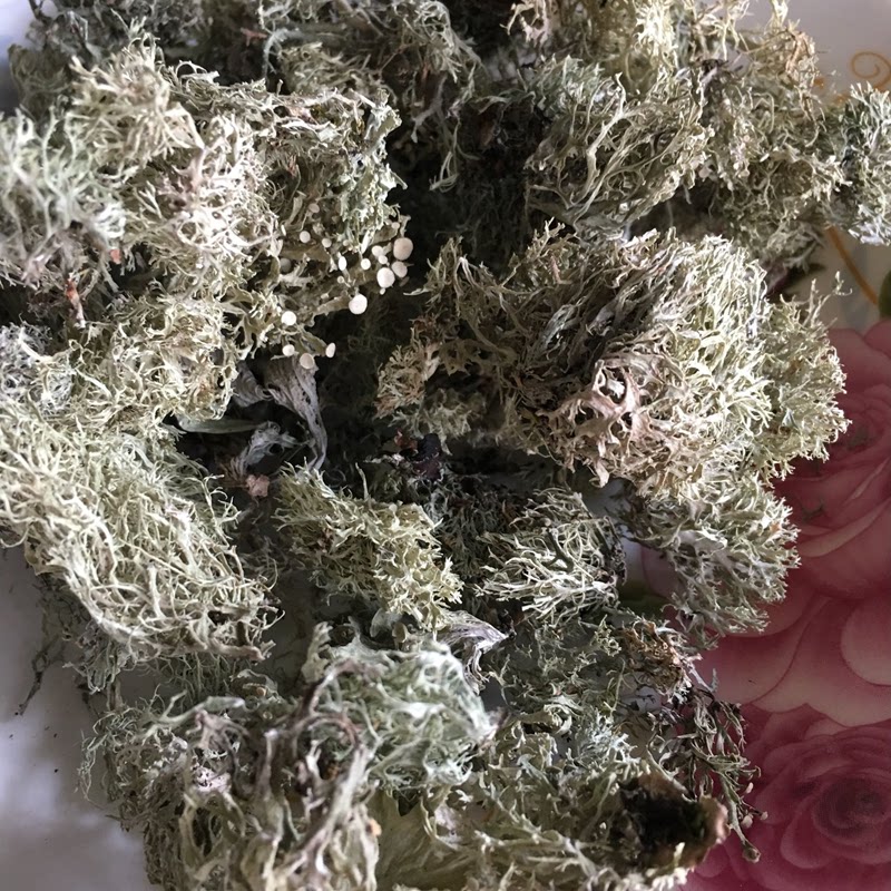 云南德宏野生树毛衣树花菜 深山树花菜干货200g拌凉菜天然好食材