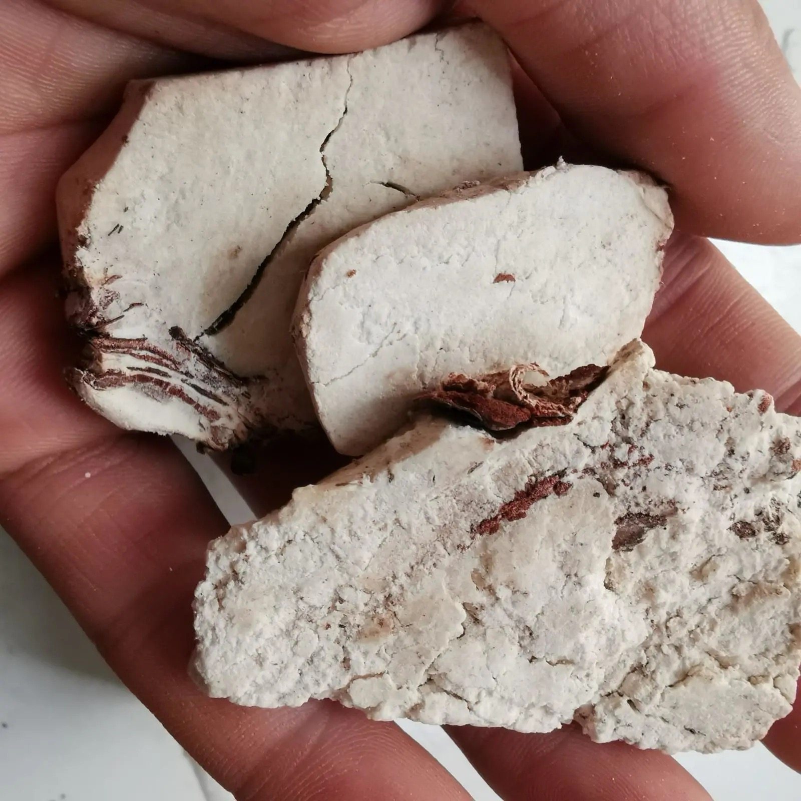 茯神中药材伏神茯苓云神新货野生500g克包其他药食同源食品