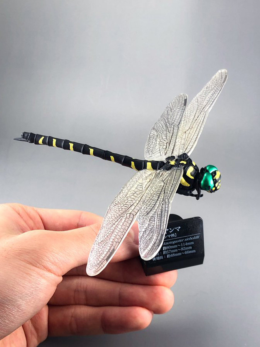 现货日版takaratomy生物模型原色图鉴系列日本蜻蜓盒蛋
