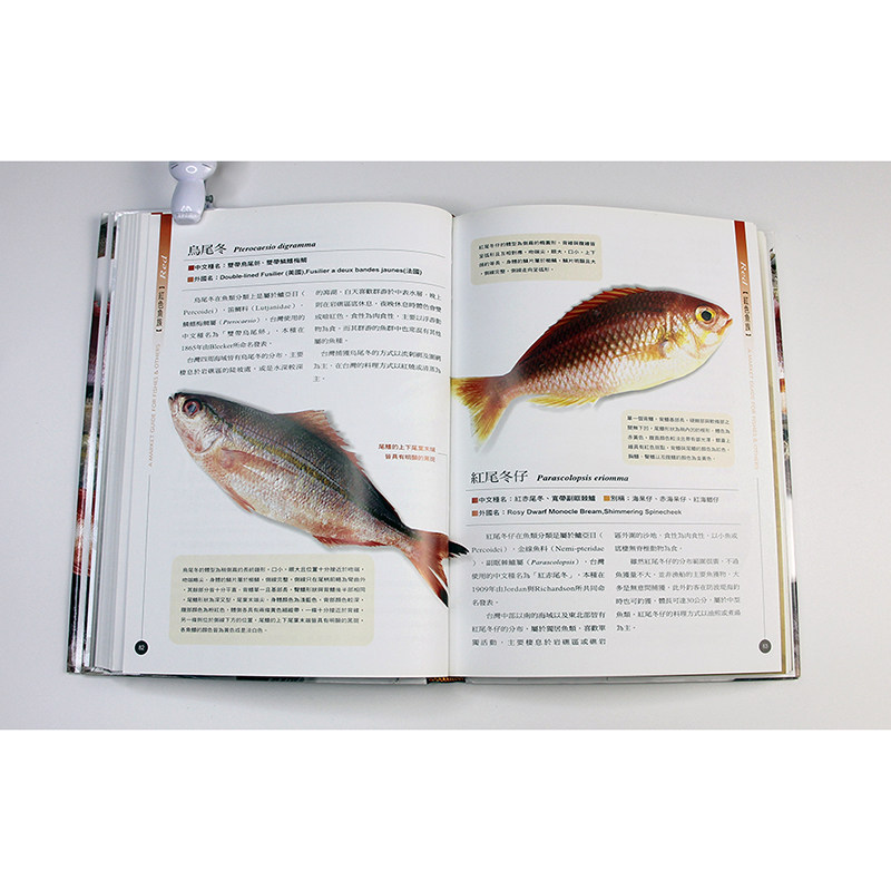 现货台版菜市场鱼图鉴饲养与鉴赏图典书选鱼养鱼赏鱼书海水鱼图鉴鱼类