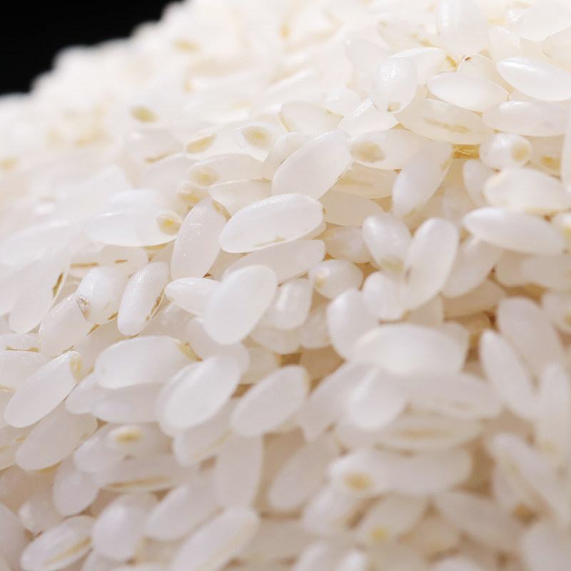 赛亚留胚米25kg东北大米可见胚芽辅食粥米香米大米