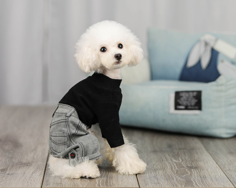 四脚狗狗牛仔牛仔裤裤子宠物泰迪四角比熊博美宠物服装