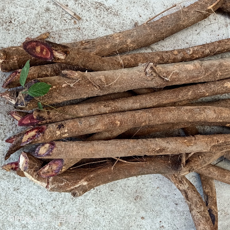 深山血风根500g血风藤干铁牛石老人根做月子洗澡葛根