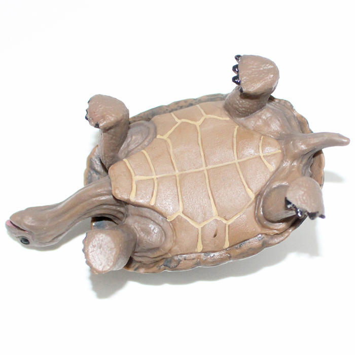 仿真乌龟模型儿童玩具装饰摆设道具草龟陆龟海洋生物爬行动物海龟