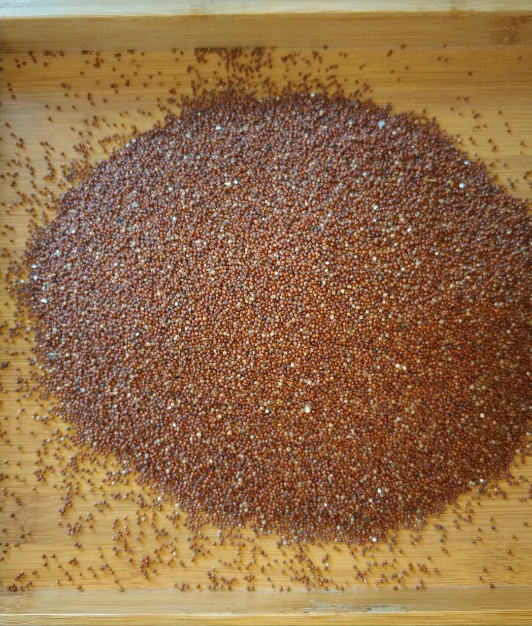 湖南新化紫鹊界土特产糁籽颗粒纯糁籽粉粗粮粟子粟子粉铲子铲子粉