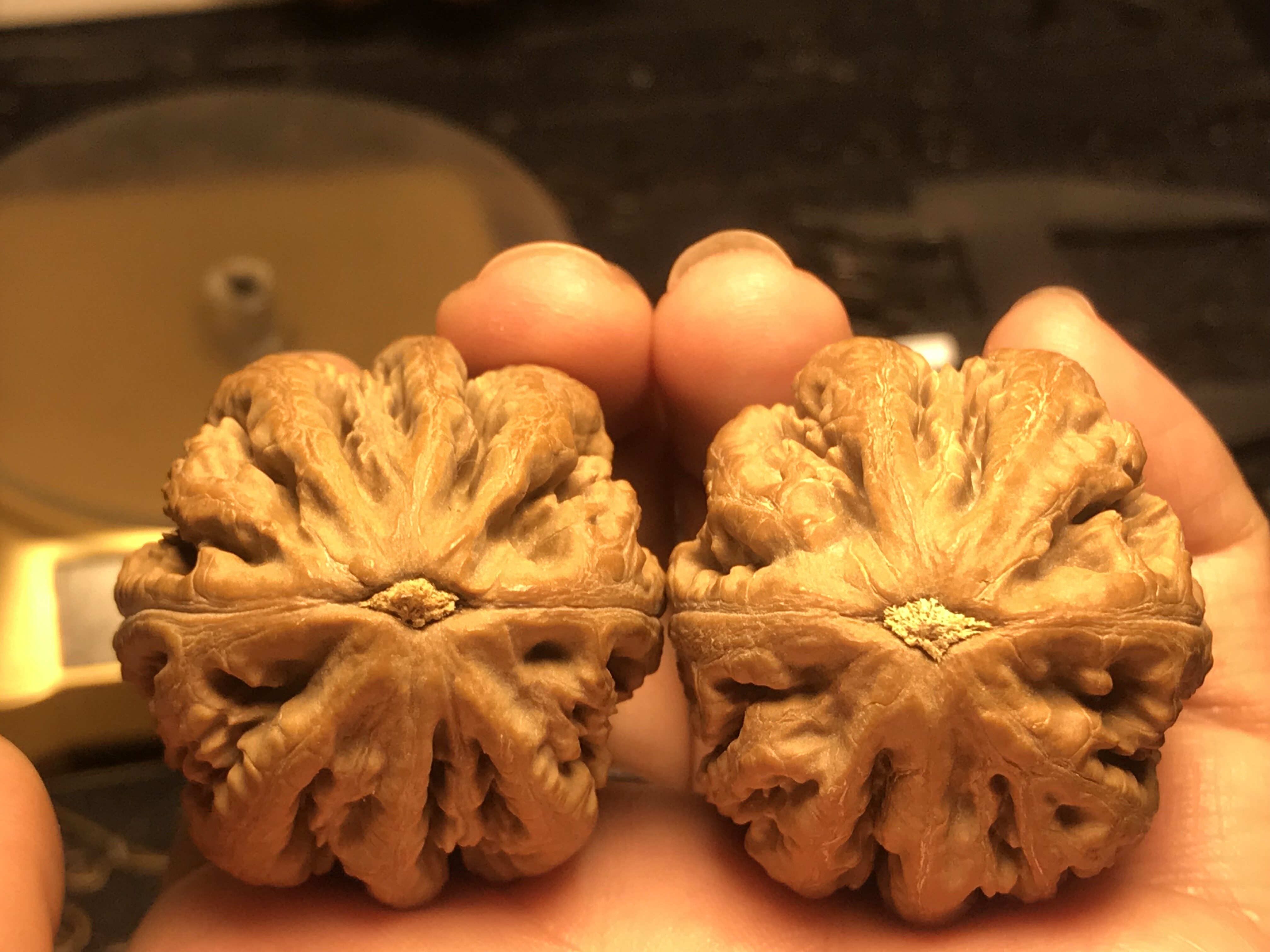 精品文玩核桃野生八棱大秋子