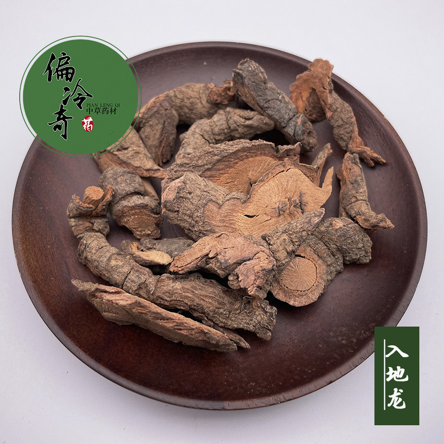 偏冷奇中草药药材酸根入地地龙大叶酸味白花其他药食同源食品
