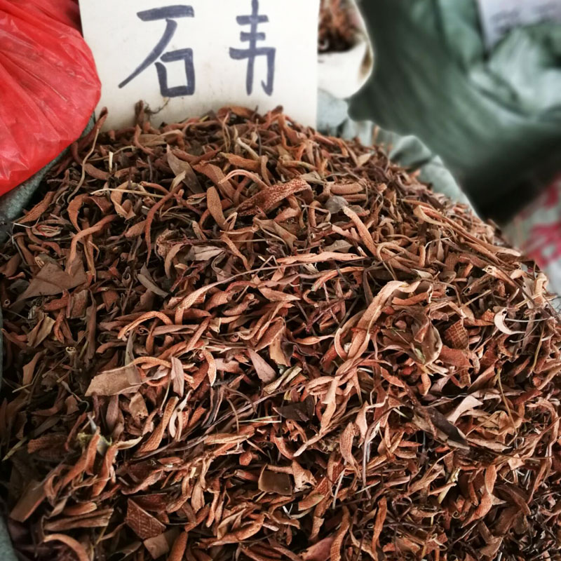 石韦中草药药石500克野生中药材石伟草新鲜干货小叶传统滋补品其他