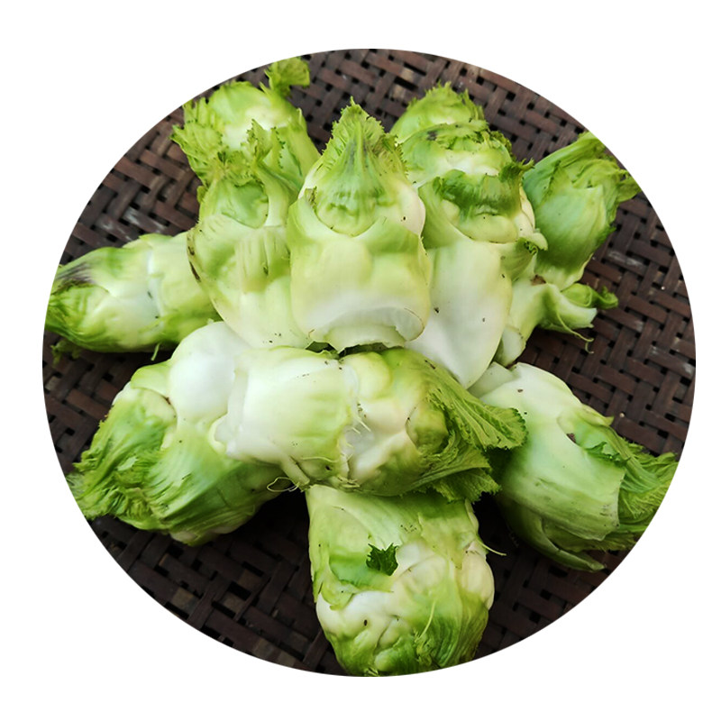 四川儿菜新鲜5斤娃娃菜抱母子耳菜农家自种其它