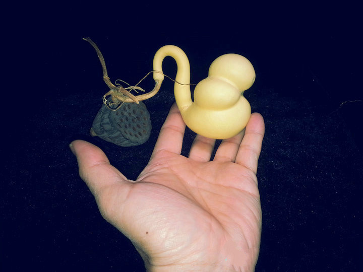 一阁异形勒扎打结袖珍微型天鹅厘米手捻把玩葫芦