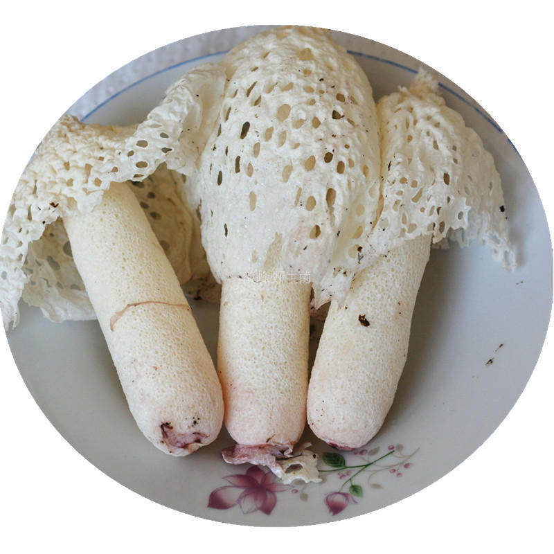 新鲜红云南500克味道口感蘑菇土特产竹笙菌花竹荪新鲜松茸