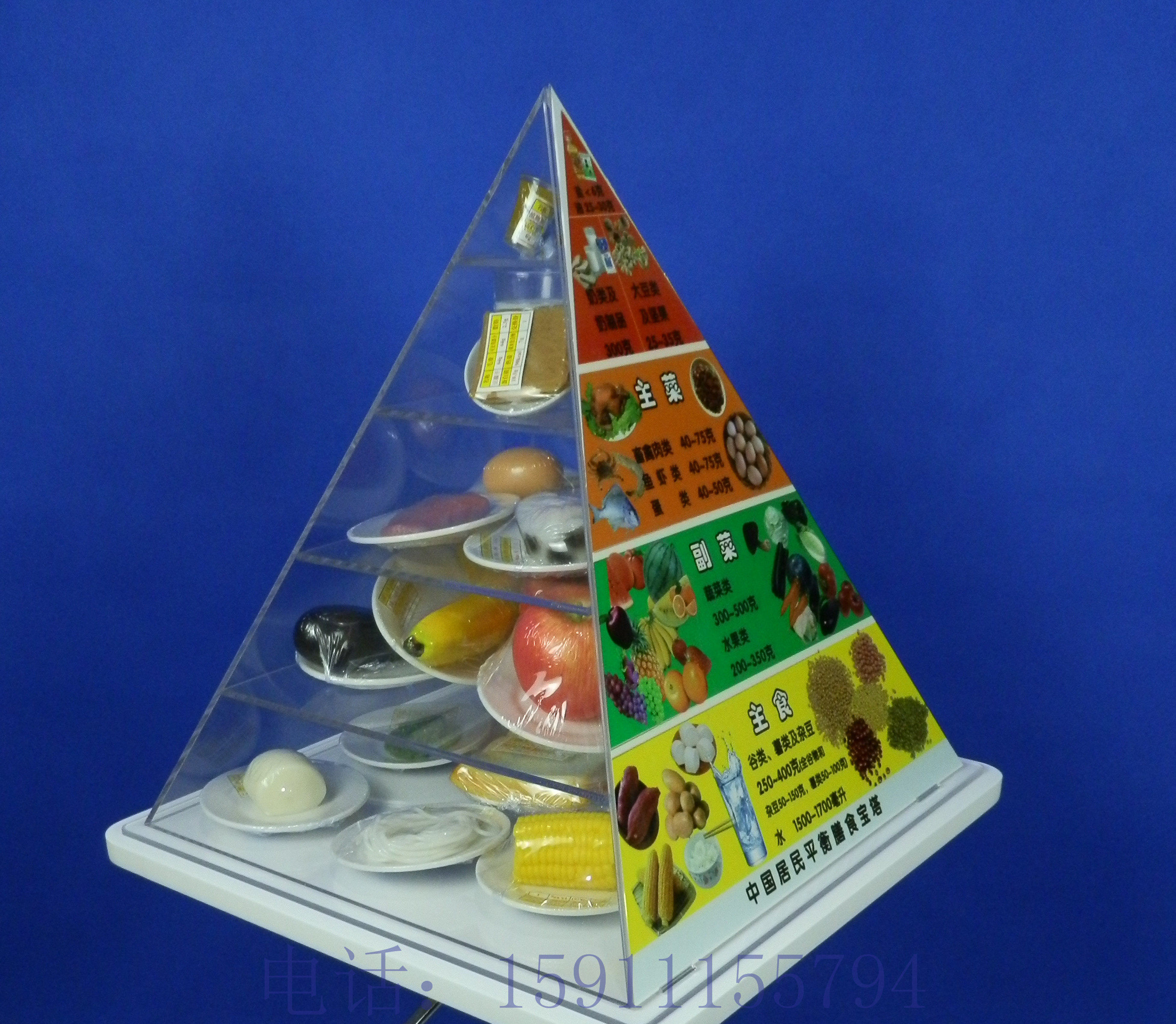 2016版膳食宝塔中国居民膳食平衡宝塔食物膳食金字塔营养食物模型