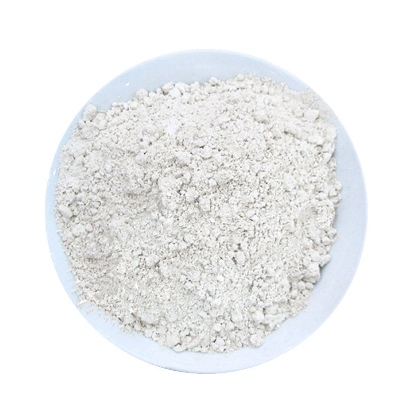 泰兴兴纯大麦粥粉元麦天然营养早餐面粉500g面粉