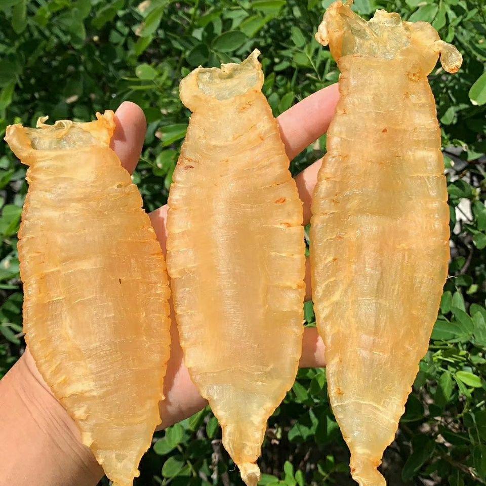 赤嘴花胶鱼胶250克陈年本港湛江公胶干货滋补品花胶