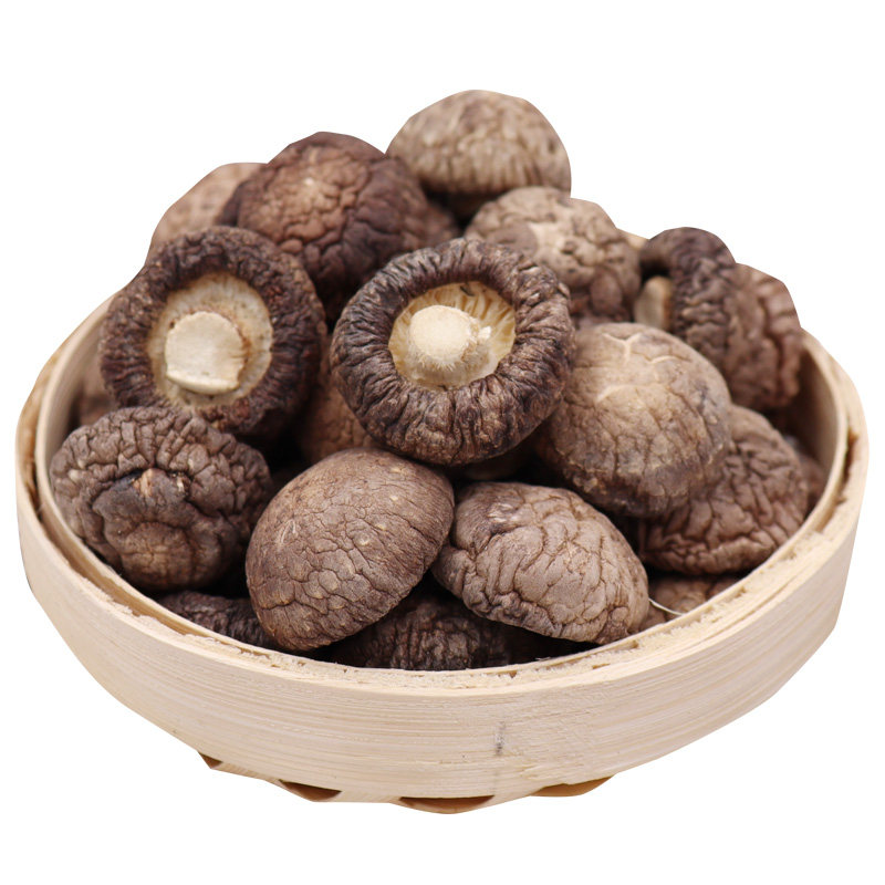 小香菇仔干货特小助农湖北助力特产随州金钱菇特级野生冬香姑250g