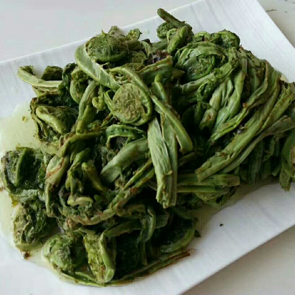 速冻长白山野生山野菜新鲜广东菜黄瓜香荚果蕨长寿菜2份包邮