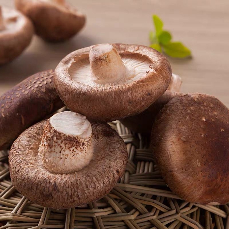 香菇 食用菌小香菇 蘑菇新鲜蔬菜 火锅烧烤烤肉串串食材250克