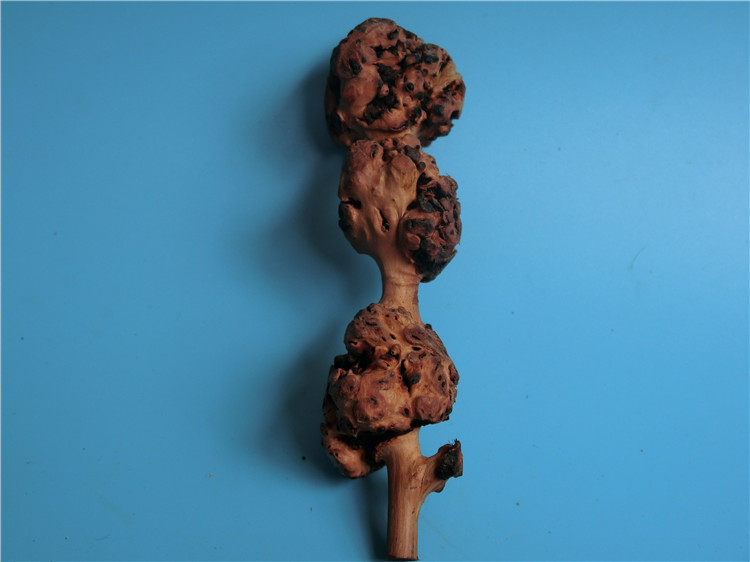 天然树瘤根雕刻料樱木影陈化瘤象形木料摆件手把根雕