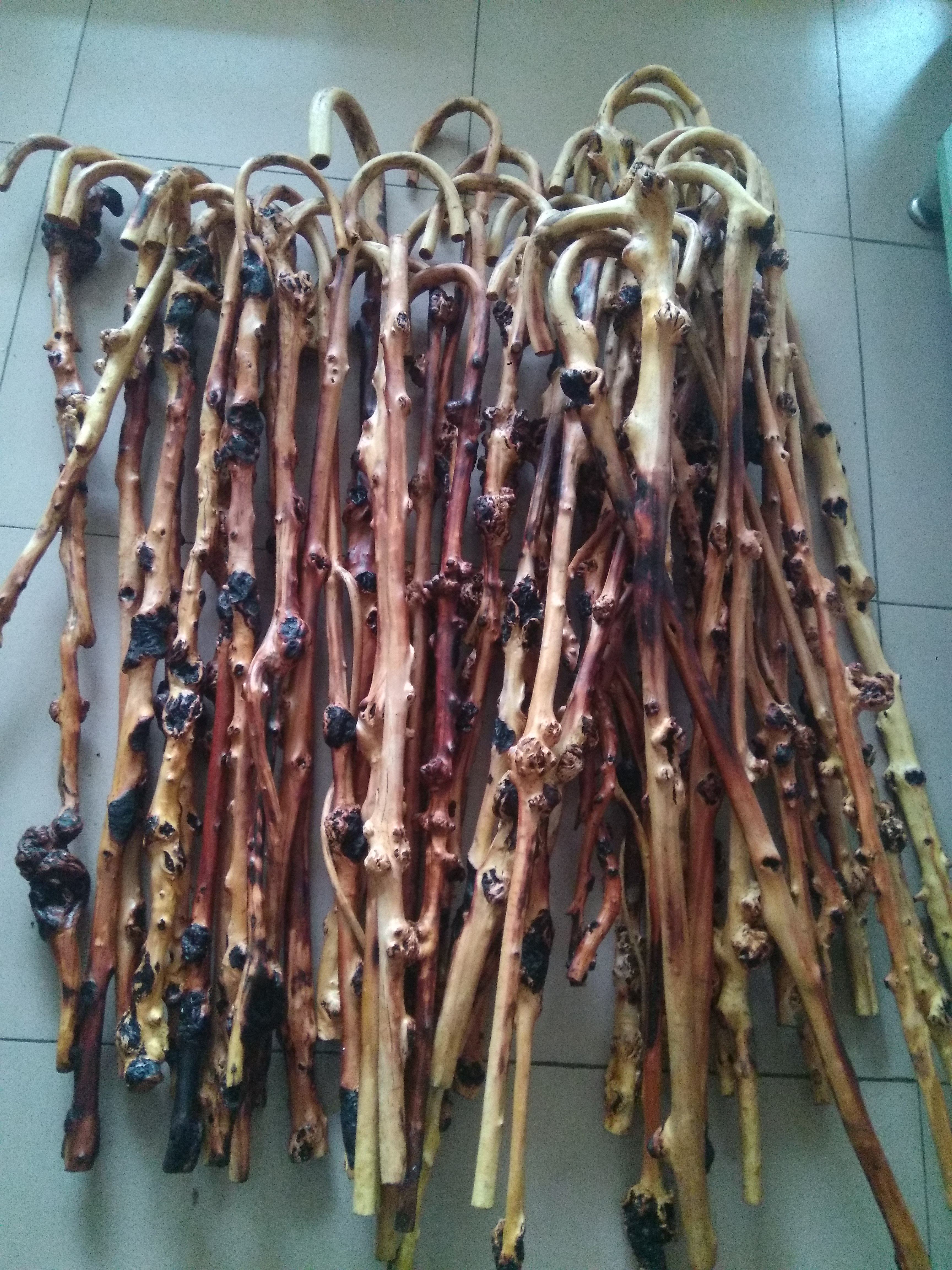 黑果云南果树果木拐杖拐棍木雕天然树瘤原生态木雕