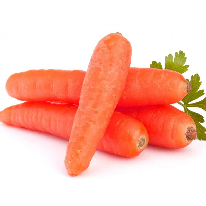 胡萝卜利宏种子三红黄参红参引进韩国红萝卜韩红家庭园艺种子