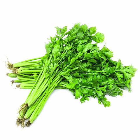 种子四季小香香芹秋季香味味浓嫩脆小芹芹菜家庭园艺种子