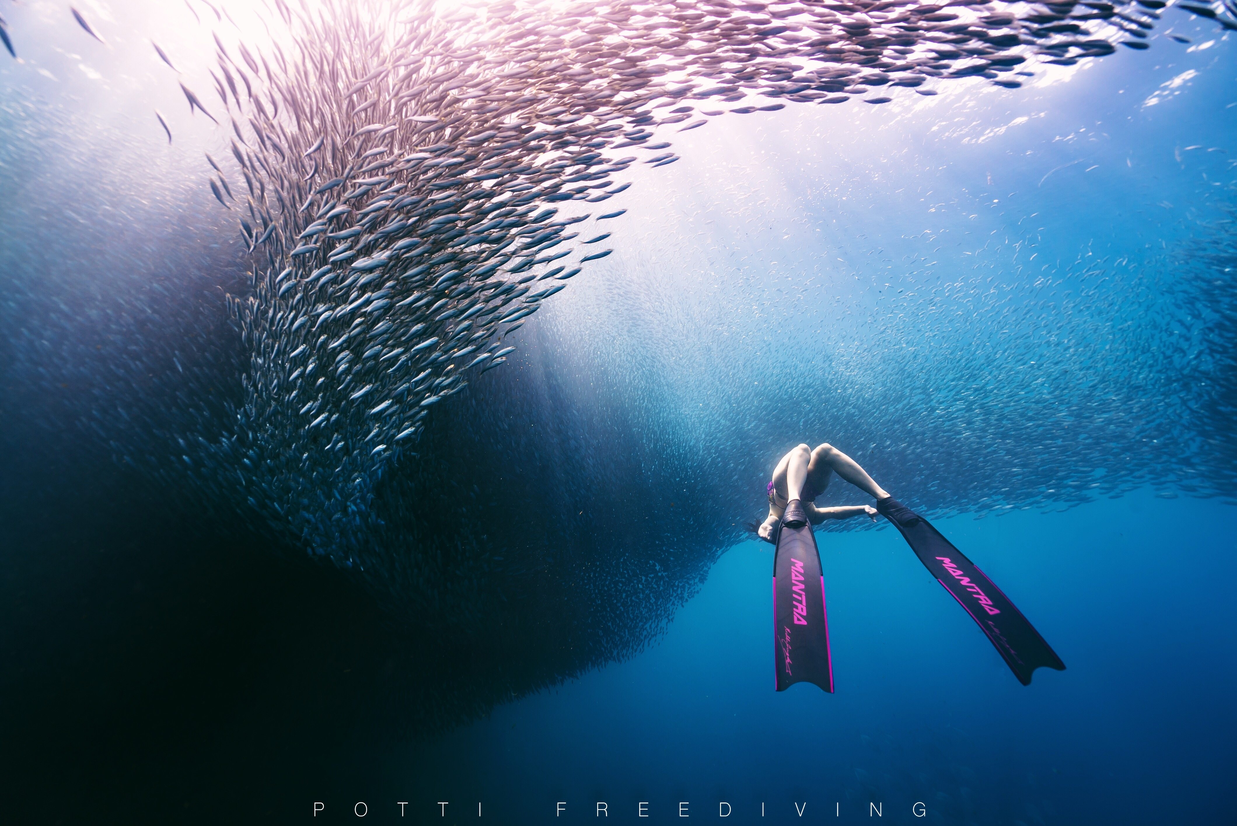 potti苏州aida自由潜水freediving专业课程培训训练其他