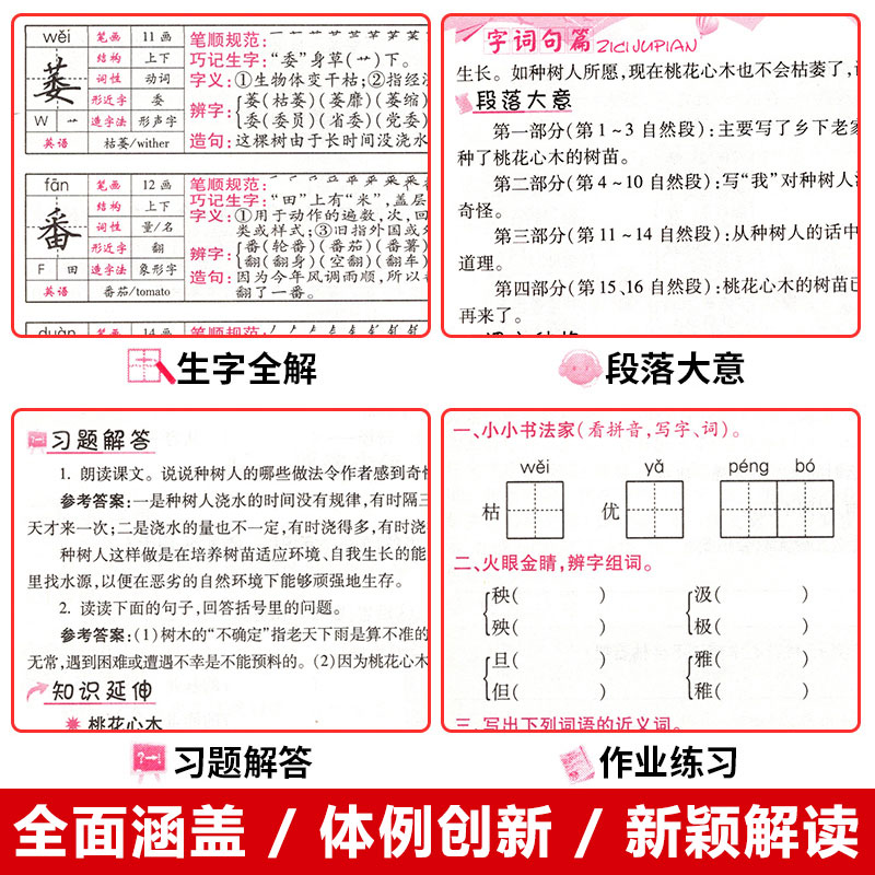 2021版字词句篇六年级下册语文辅导书