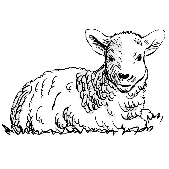 q版头像漫画人物动漫logo设计狗狗猫咪宠物画像代画照片手绘定制