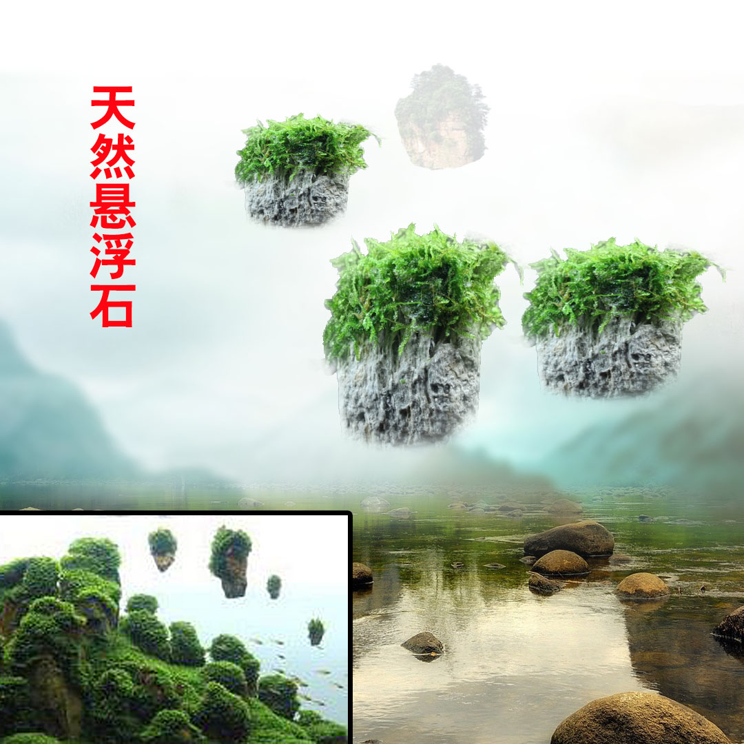 水族阿凡达造景悬浮石小型天然浮石造景石水草造景高端素材_双氙车灯