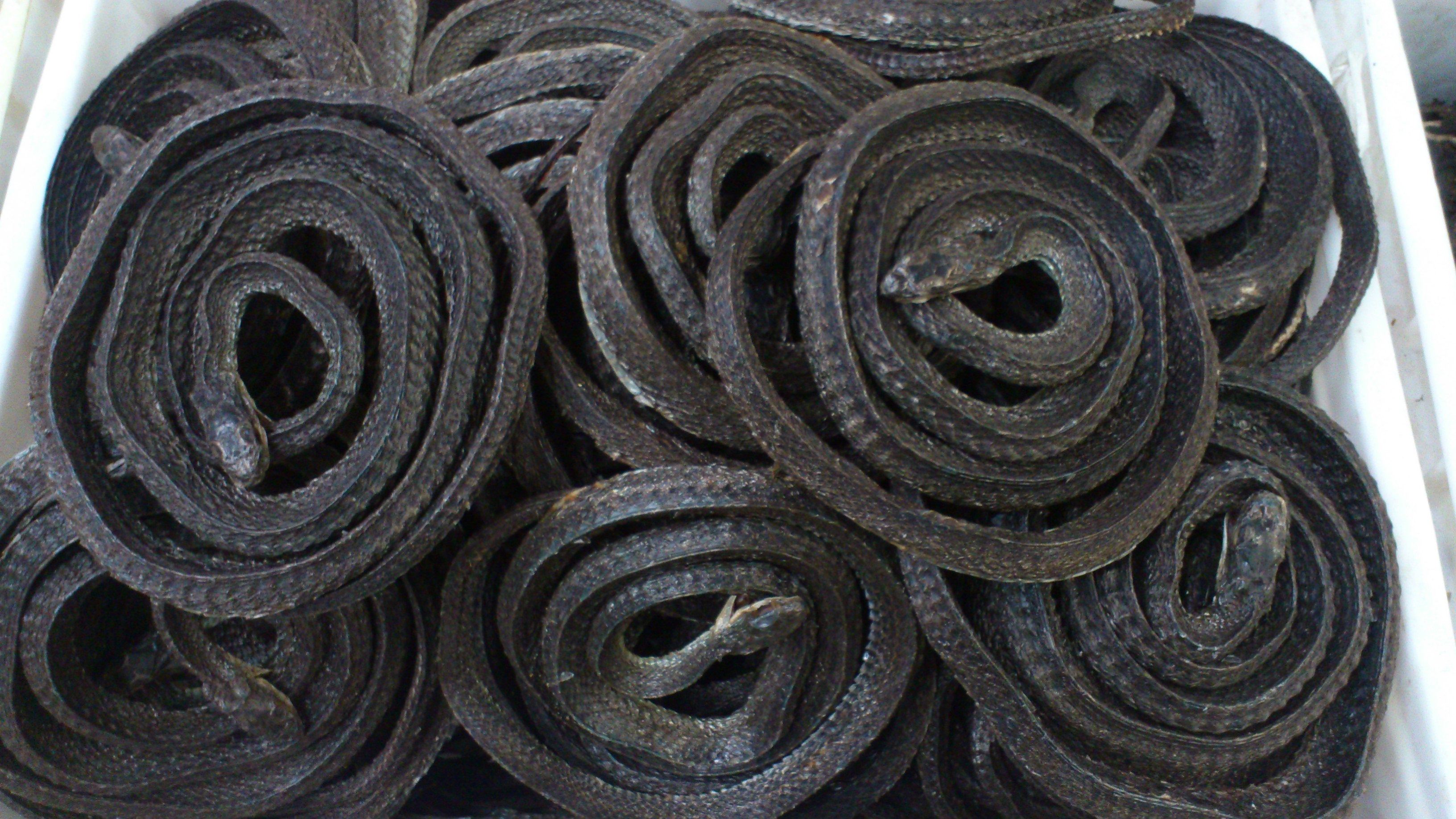 中药材精选乌梢100克四川正品干蛇乌蛇整盘蛇干包其他药食同源食品