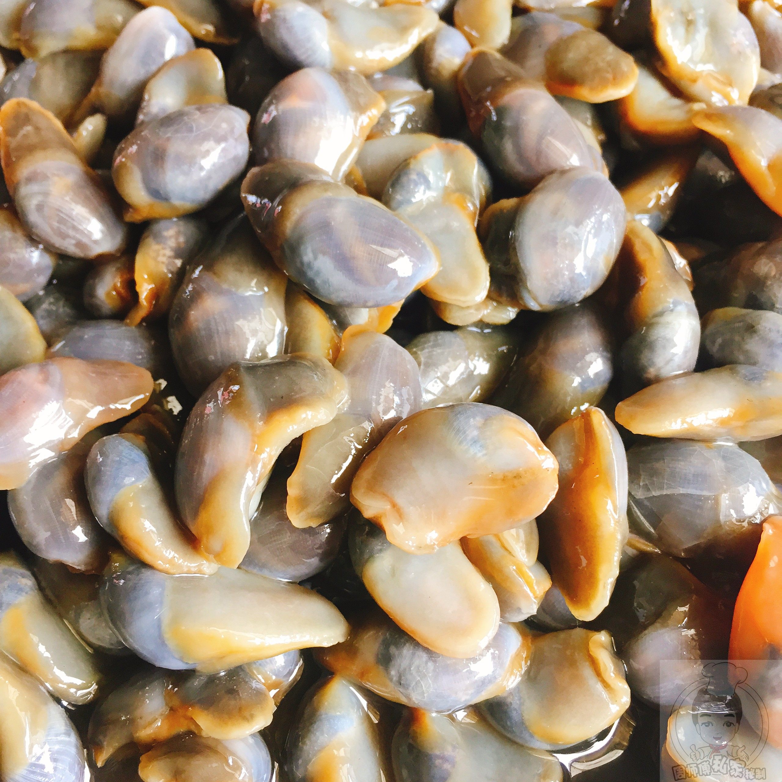 大籽野生无沙黄泥非即咸泥盐城大丰特产正宗泥螺