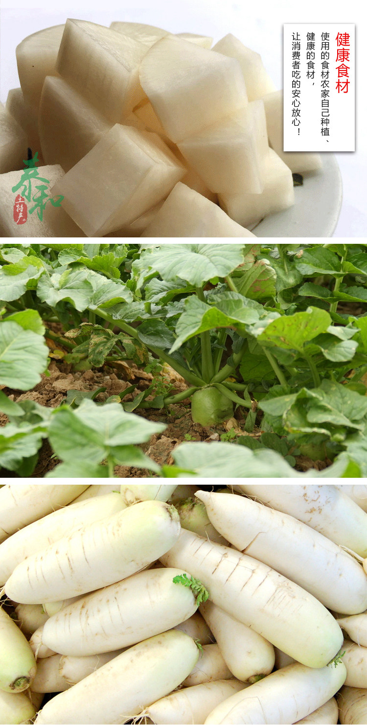 正宗泰和萝卜江西土特产休闲零食500g生津开胃萝卜