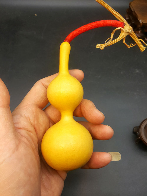 天一阁精品天津本地长嘴天然本长手三庭三亭葫芦葫芦