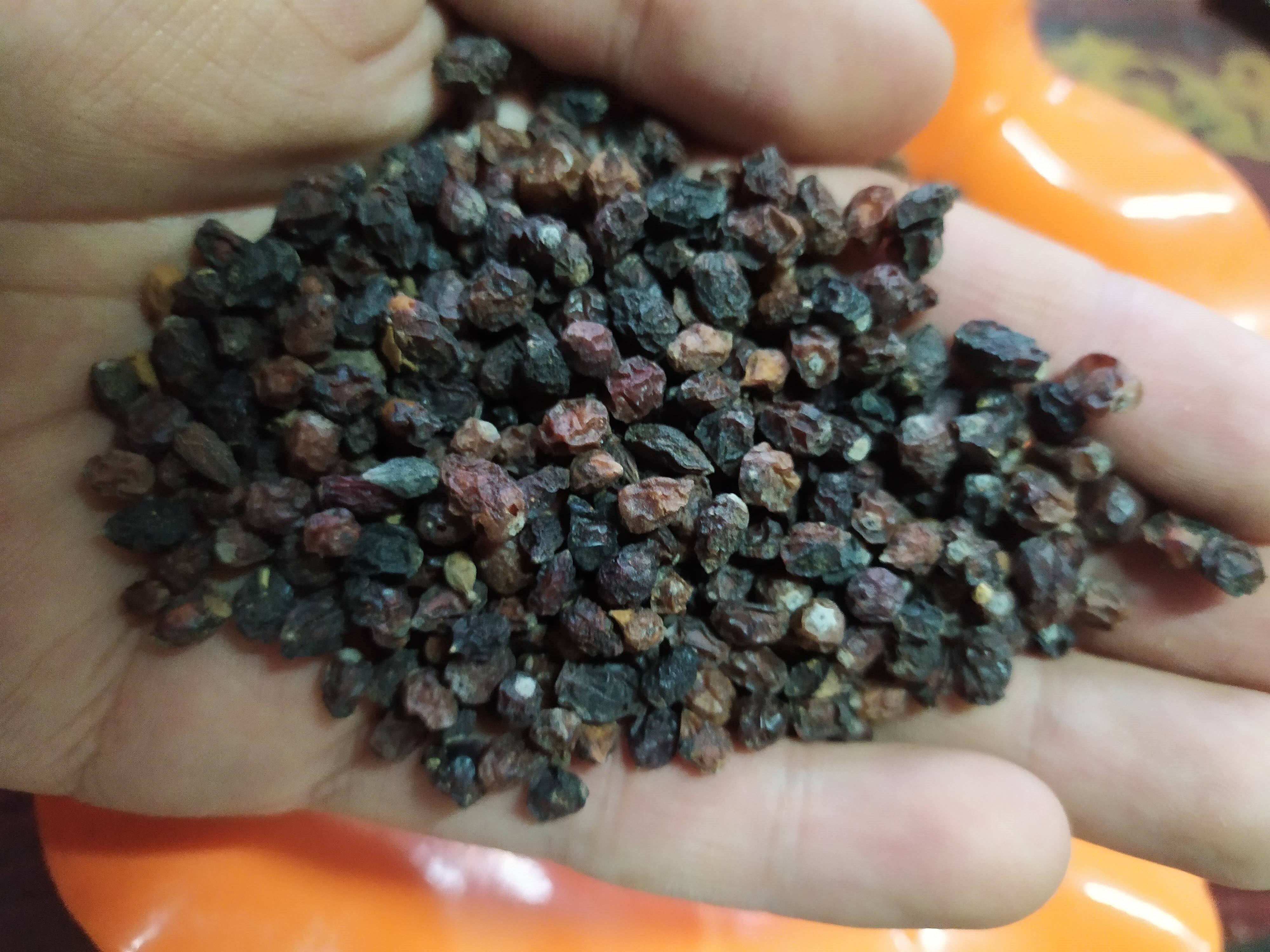 沙漠甘肃民勤特产野生白刺果酸胖2021养生茶泡沙棘