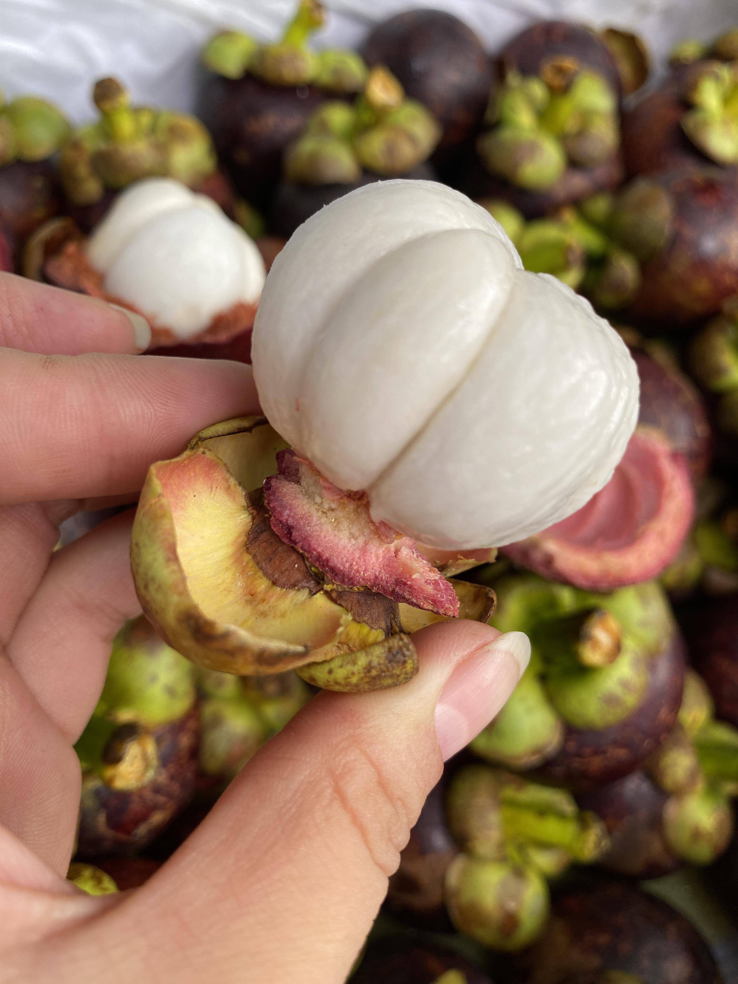 山竹秋畋精选进口4a规格大果新鲜水果麻竹山竹