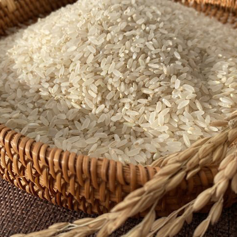 兔子米农大米圆粒香长粒当季新米吉林白城食用大米