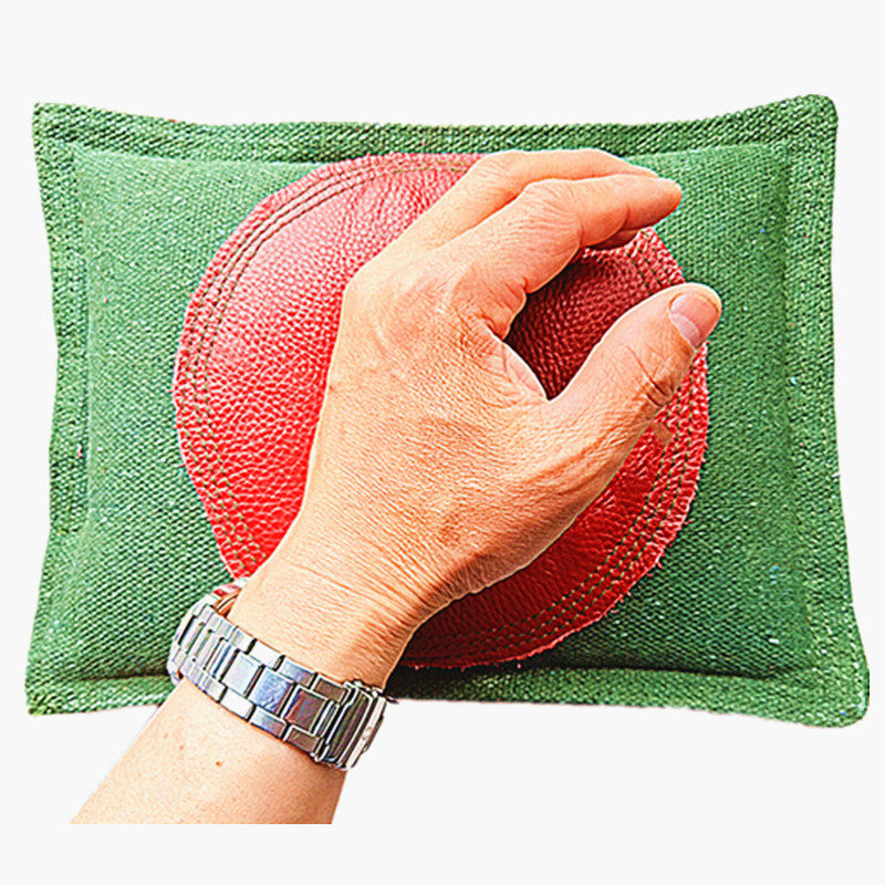 铁砂掌专用砂袋鹰爪抓抛沙包练功舞蹈瑜伽压腿减肥加厚配重铁沙袋