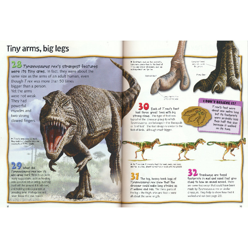 100 facts trex 100个事实系列霸王龙 儿童百科科普常识 百科全书