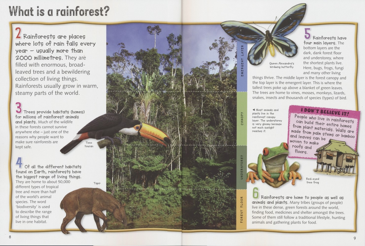 热带雨林儿童原版英文全书读物科普知识百科英语系列儿童读物原版书