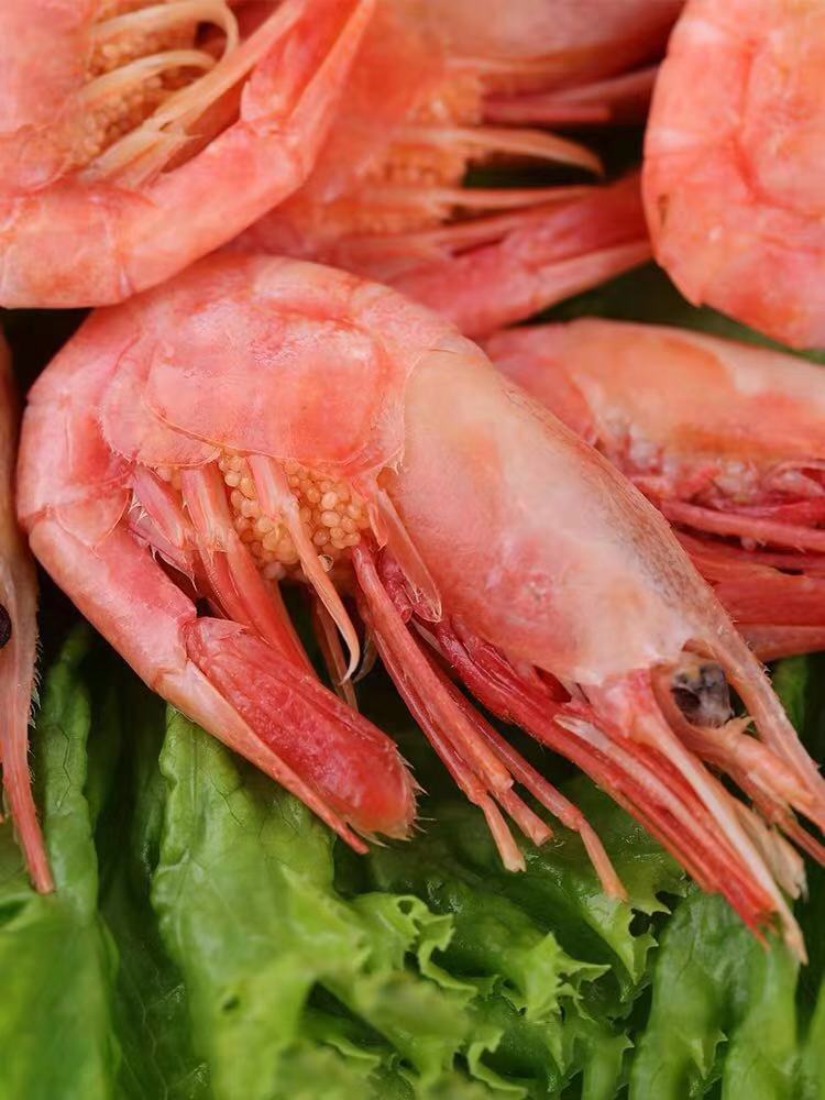 俄罗斯野生马加丹虾冰虾带籽北极甜虾5070熟冻冻虾