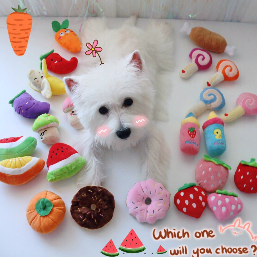 宠物可发绒布毛绒玩具猫咪狗狗宠物狗卡哇伊系列日系发声玩具