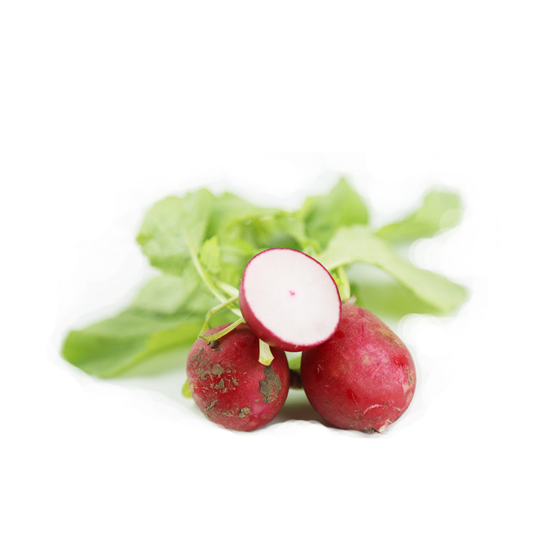 新鲜樱桃萝卜500g 迷你小萝卜圆红萝卜洋花萝卜沙拉菜