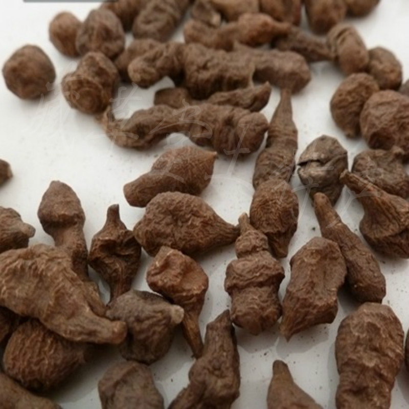 林芝纯野野生蕨麻人参果500g西藏特产厥麻新货传统滋补品其他