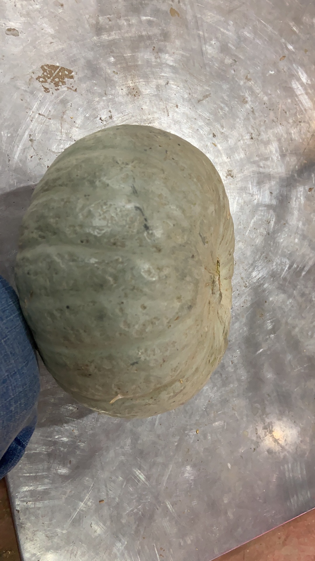 新鲜新疆板栗南瓜大小可选5件包邮蔬菜坏菜南瓜