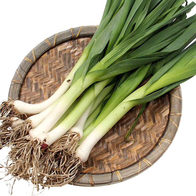 大蒜1斤装江浙沪5件顺丰包邮叶新鲜新鲜蔬菜葱蒜大蒜