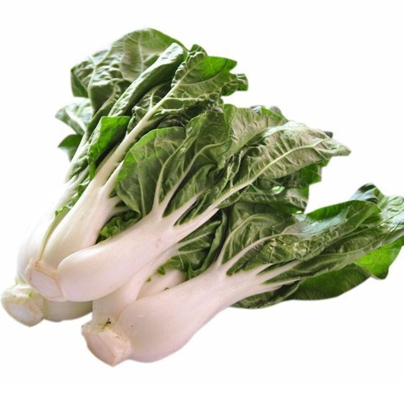 牛奶小白菜种子速生矮脚脆嫩青菜油菜生菜种籽四季高产蔬菜包邮