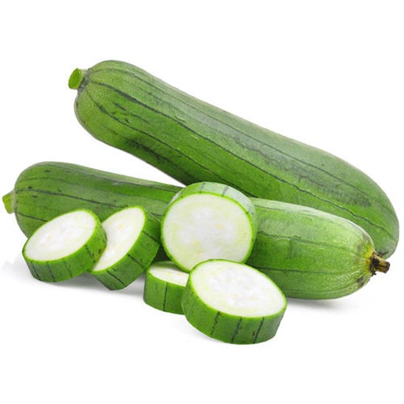 肉丝瓜种子 短丝瓜 香丝瓜早熟丝瓜种籽四季庭院大面积多宝肉丝瓜